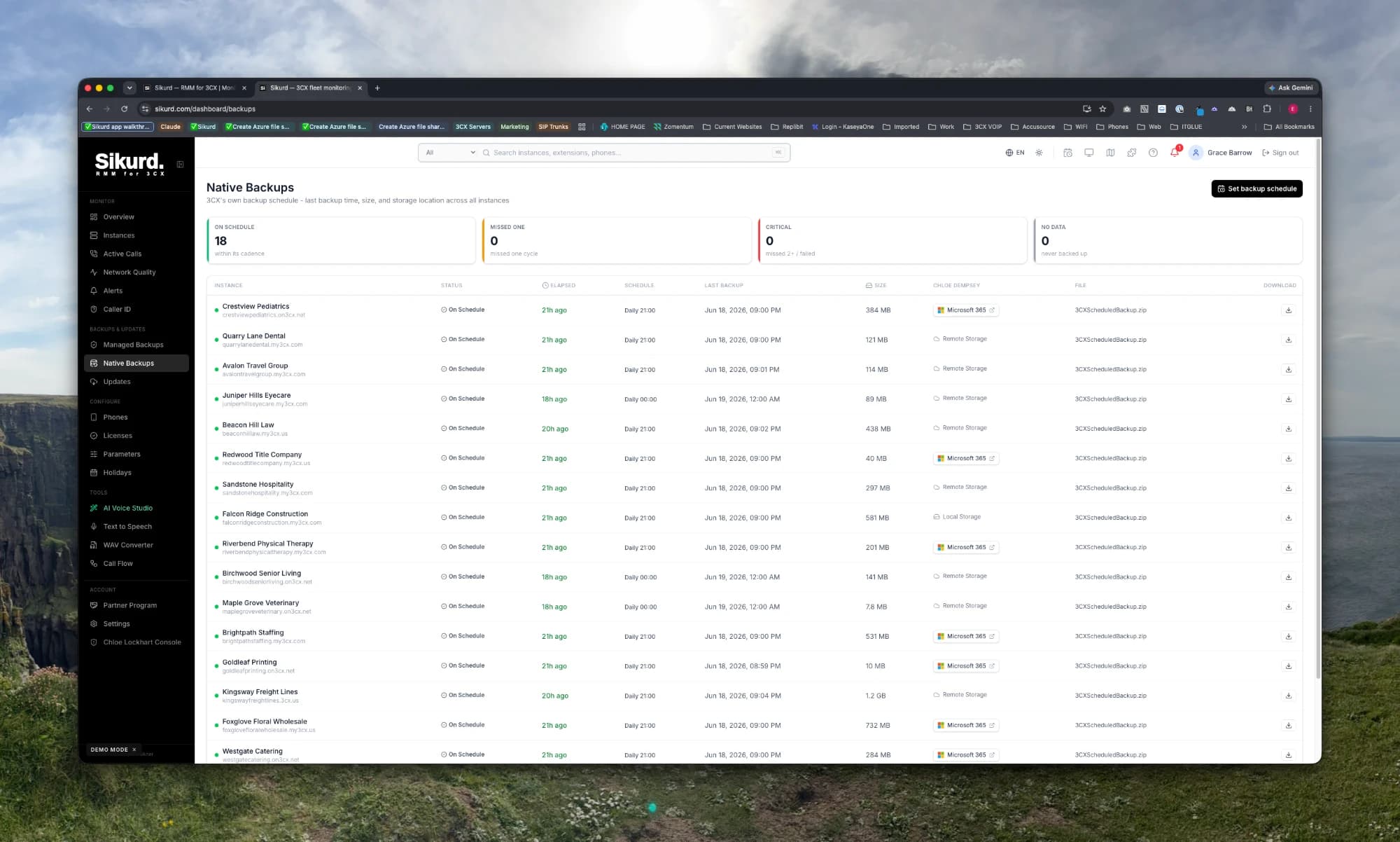 Verified backups